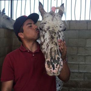 Meet your Posher, Divany